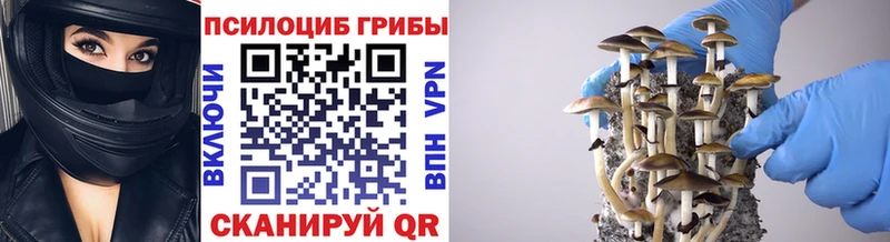 Купить закладки  Невельск  Псилоцибиновые грибы ЛСД 